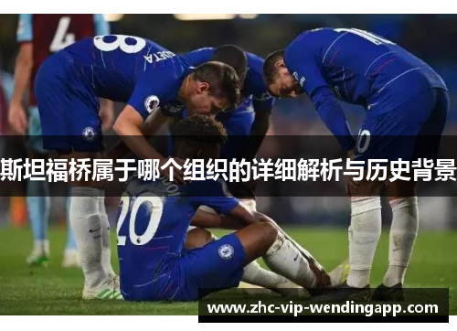 斯坦福桥属于哪个组织的详细解析与历史背景