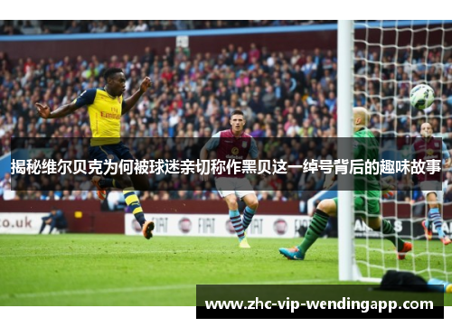 揭秘维尔贝克为何被球迷亲切称作黑贝这一绰号背后的趣味故事