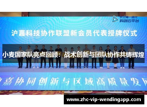 小麦国家队亮点回顾：战术创新与团队协作共铸辉煌