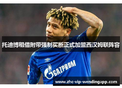 托迪博租借附带强制买断正式加盟西汉姆联阵容