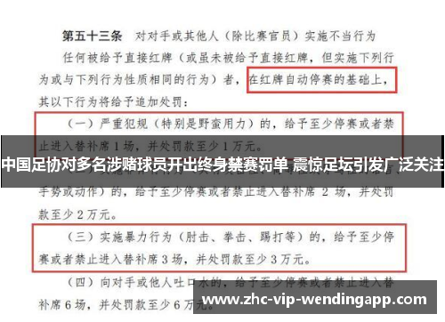 中国足协对多名涉赌球员开出终身禁赛罚单 震惊足坛引发广泛关注