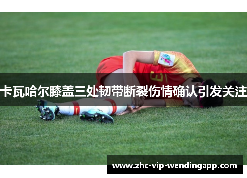 卡瓦哈尔膝盖三处韧带断裂伤情确认引发关注